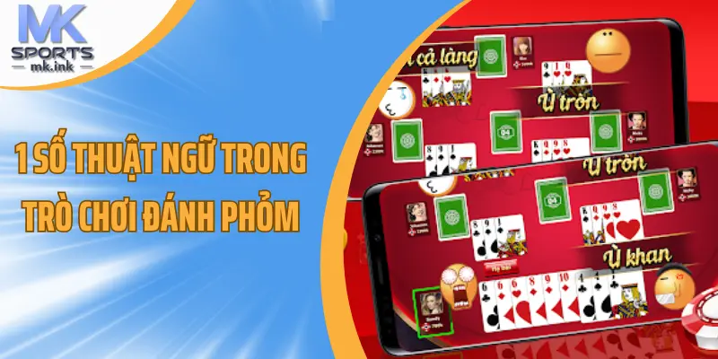 1 số thuật ngữ trong trò chơi đánh phỏm