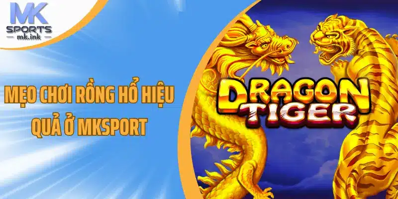 Mẹo chơi rồng hổ hiệu quả ở mksport