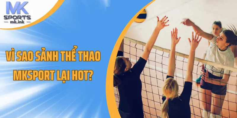 Vì sao sảnh thể thao mksport lại hot